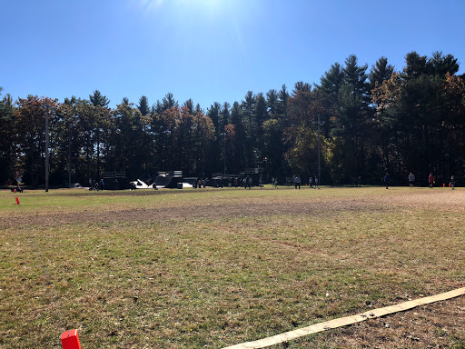 Lyons field - Thumbnail