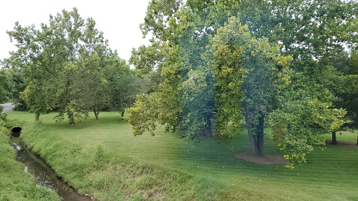 Carrvale Park