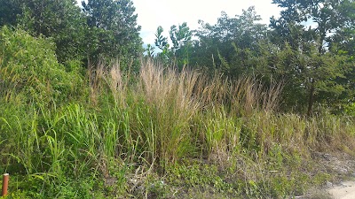 Photos of Perum Asta Gardenia