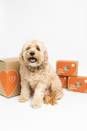 Pip Eats - fresh wholefood meals for dogs