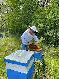 Photo n°7 de Les Abeilles de Malescot à Bouglon (Magasin d'alimentation naturelle)