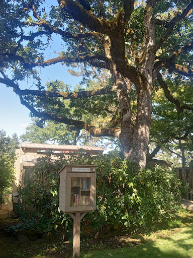Little Free Library #12469 - Thumbnail