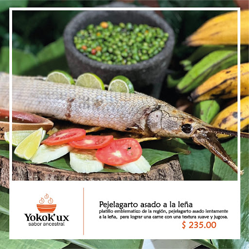 Yokok’ux Sabor ancestral - Thumbnail
