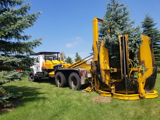 ArborTree work photo 1