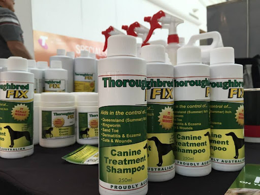 Thoroughbred Fix - Visual