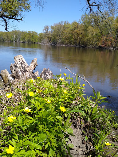 Macktown Forest Preserve Gallery - United States