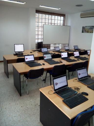 Nascor - Grado Tres Cantos