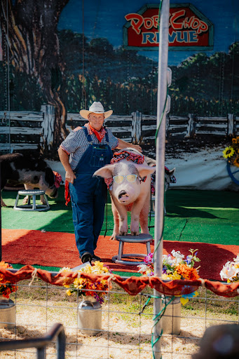 Thrillville Fair - Visual