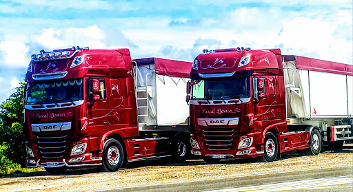Ciron DAF Alencon Gallery - France