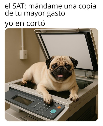 CLINICA VETERINARIA "Gusy"