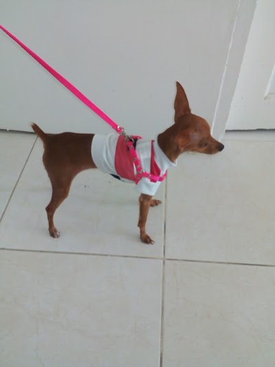 Photos of Mega - Mascotas. Consultorio Veterinario