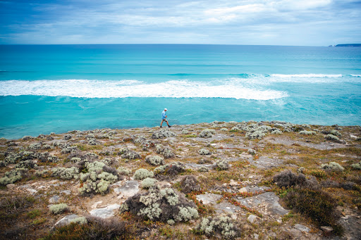 Australian Coastal Safaris