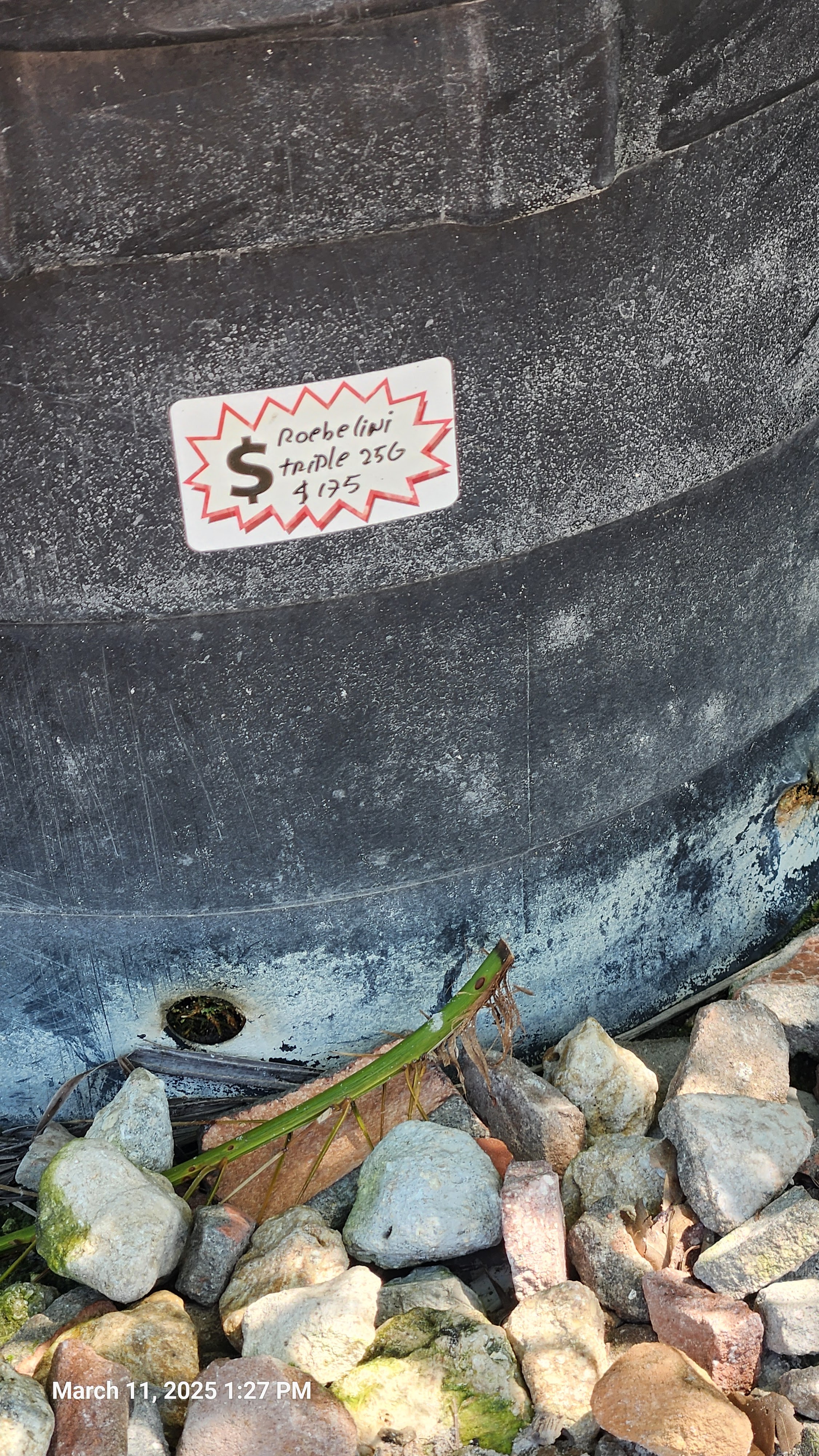 Depot Nursery LLC