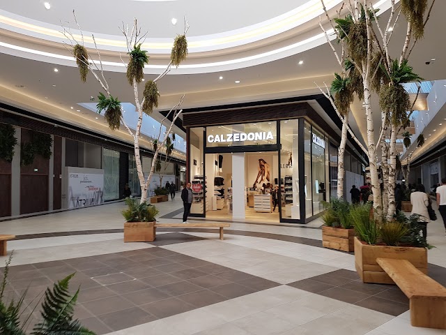 Atrium Centre Commercial