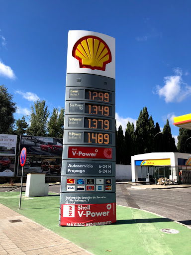 SHELL ARMILLA - Visual