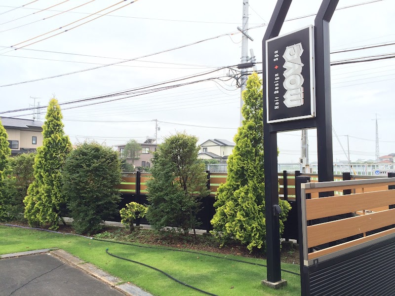 Hair Design + Spa Move