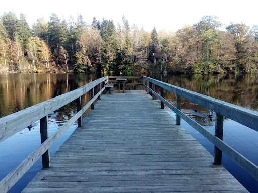 Viewpoint Billingen - Thumbnail