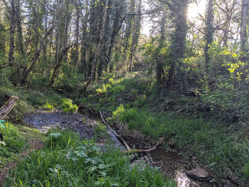 Skyline Trail - Visual