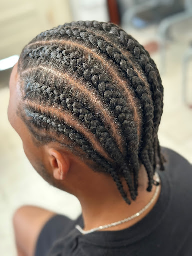 Berto's Braids - Visual