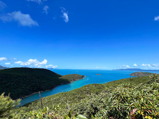 Flat Top Hill lookout - Thumbnail