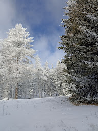 Photo n°28 de Ecogite du Mas d'El Trapa à Ayguatébia-Talau (Chambre d'hôtes)