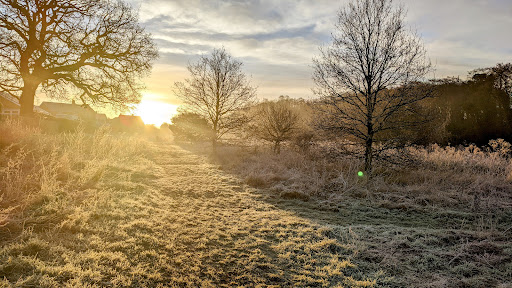 Scarning Fen - Visual