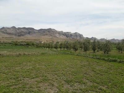 Tagab Wardak