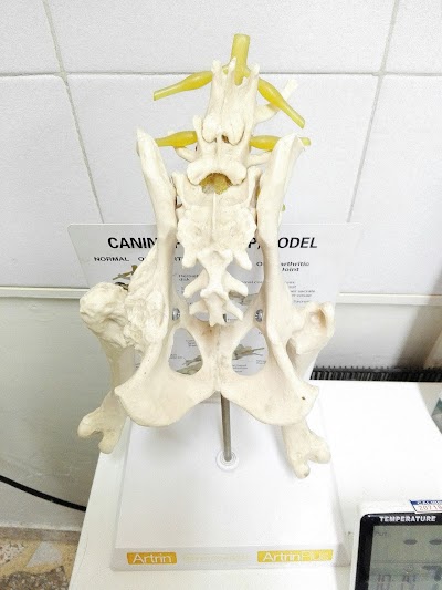 Photos of The Veterinary Clinic 80