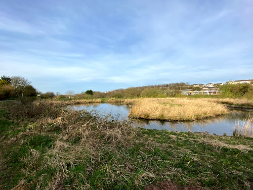 Harrington Nature Reserve