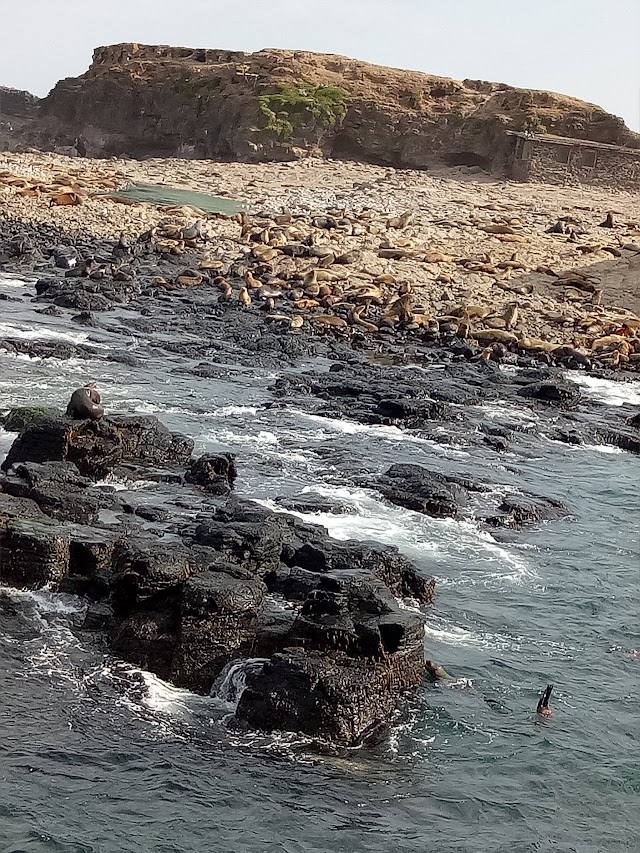 Seal Rock