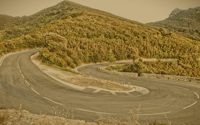 Driving School Plan Benjamin
