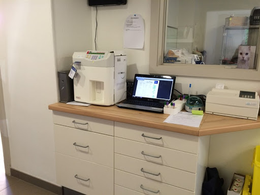 Veterinary Clinic Dornach - Thumbnail