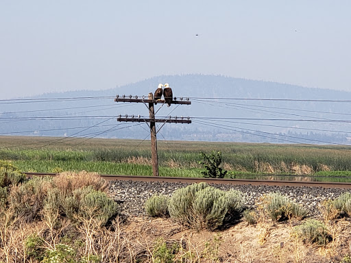 Upper Klamath National Wildlife Refuge - Thumbnail