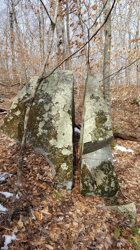 Jewett Preserve - Thumbnail