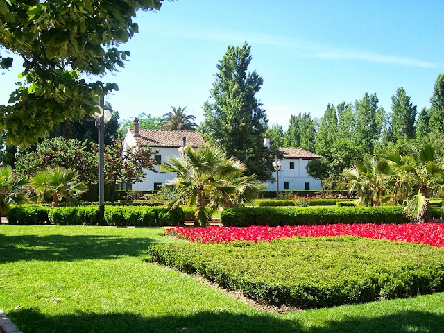 Place around image