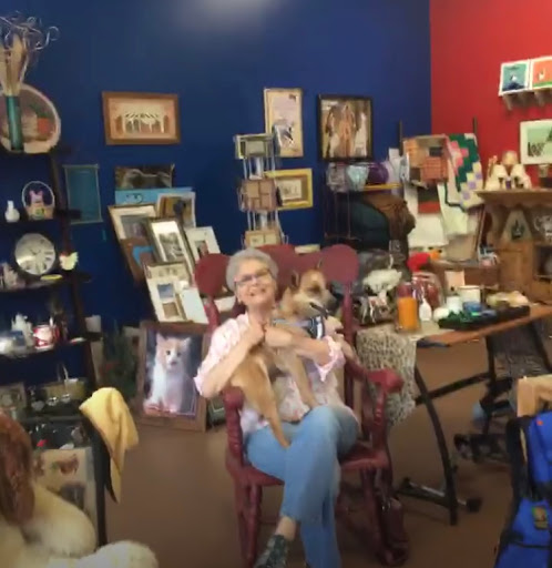The Thrift Hound - Benefiting Mountain Pet Rescue Asheville Gallery - United States