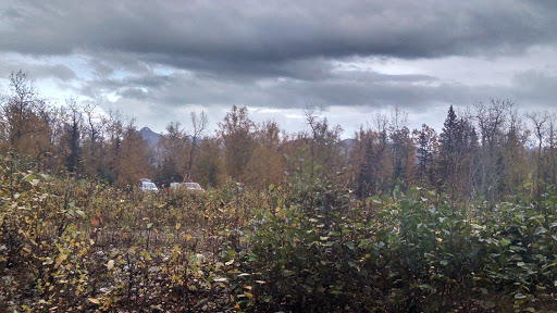 Elks Campground - Thumbnail