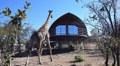 Photos of East Africa Adventures Tours & Safaris