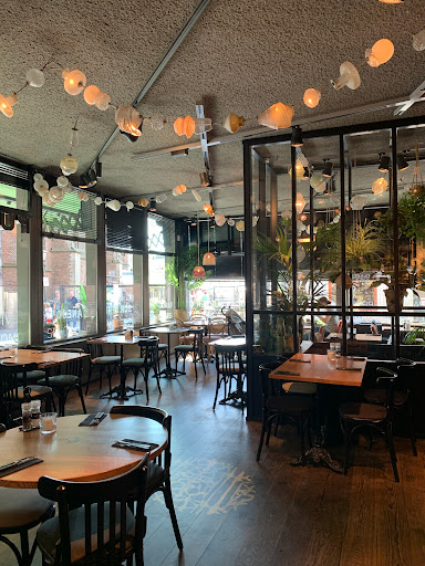 Cafe Vrijdag Haarlem - Thumbnail