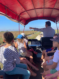 Photo n°18 de La Manade Promenade à cheval à Beaugeay (Éleveur de chevaux)