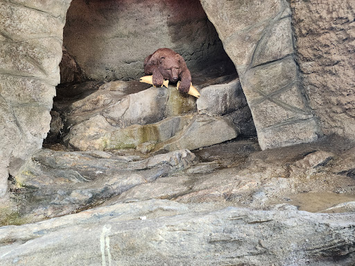 Moose Mountain Adventure Park Gallery - United States