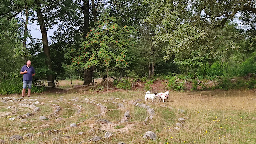 Borkeld Labyrint - Visual
