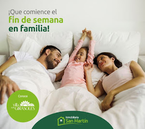 Inmobiliaria San Martín 8