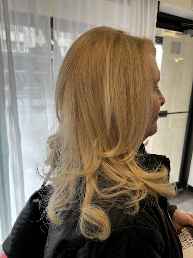 Phase Salon - Visual