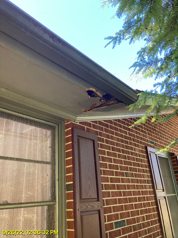 Critter Control of Athens photo