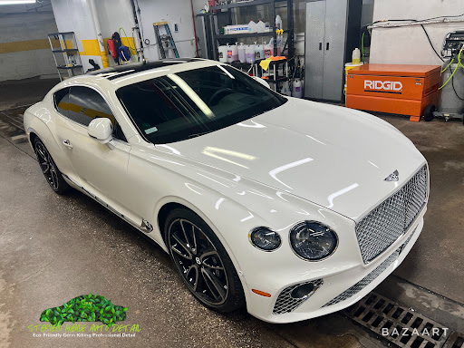 SteriEco Mobile Detail, Ceramic Coatings, Paint Correction Gallery - United States