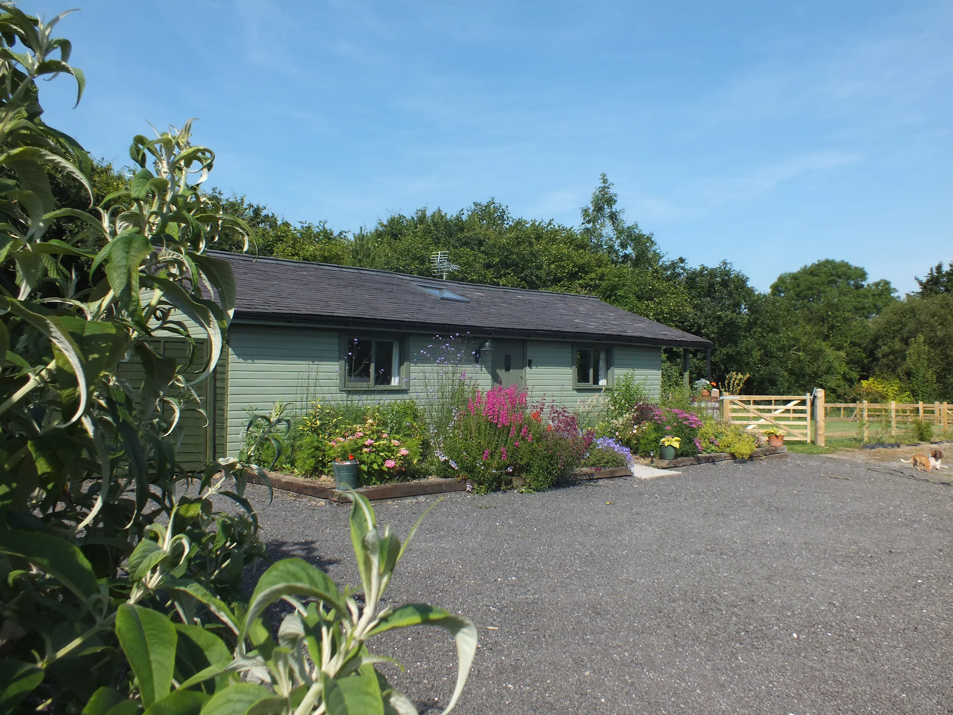 The Potting Shed