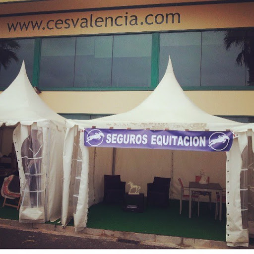 CINCHA SEGUROS & SEGUROSEQUITACION.COM - Thumbnail