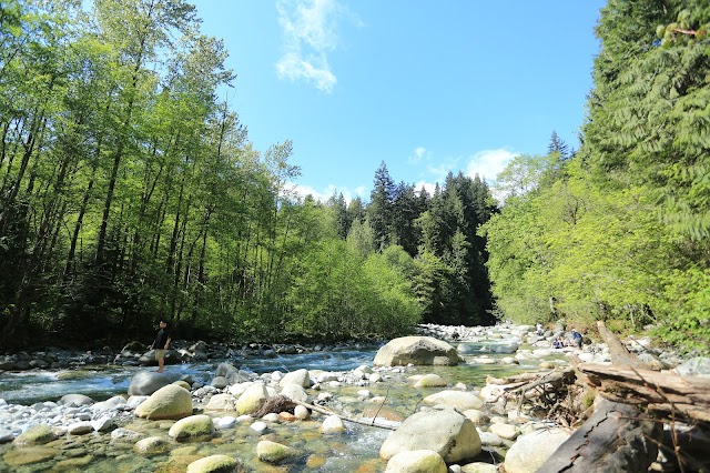 Lynn Canyon