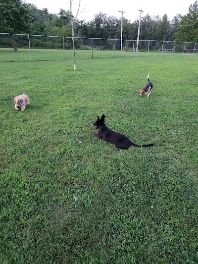 Milford Dog Park